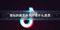 科普|网络流行语科普时间到 我玩的就是西海岸是什么意思？