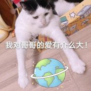 什么|剧抛型追星什么意思？ 追一部剧换一波明星追的追星方式了解一下