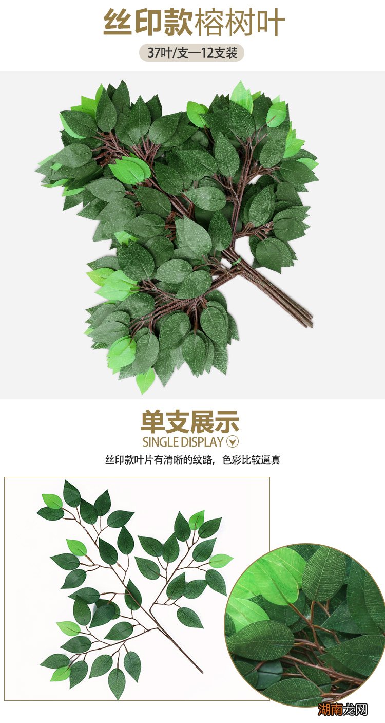 园林绿化苗木冬季养护措施_观叶植物冬季养护方法_冬季君子兰养护