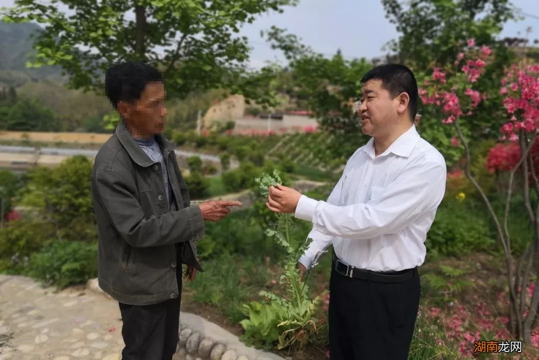 种植罂粟花多少棵违法_种植罂粟花的行为是什么行为_罂粟花种植