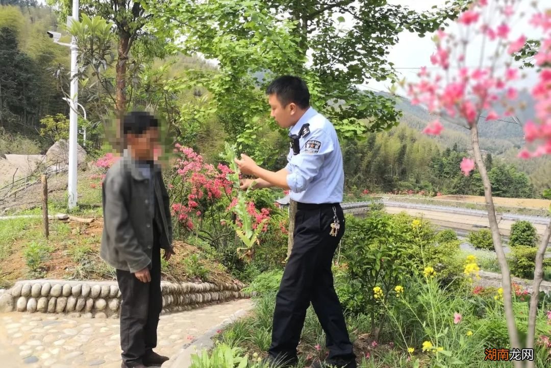 种植罂粟花的行为是什么行为_罂粟花种植_种植罂粟花多少棵违法