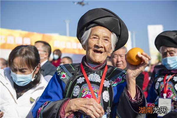 橙冰糖冰糖雪梨_冰糖橙_橙冰糖煮水加盐的功效