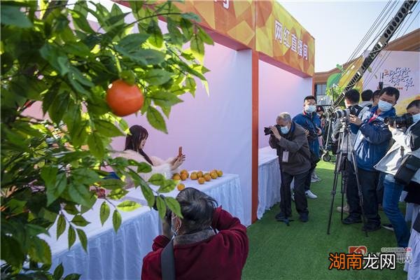 橙冰糖煮水加盐的功效_橙冰糖冰糖雪梨_冰糖橙