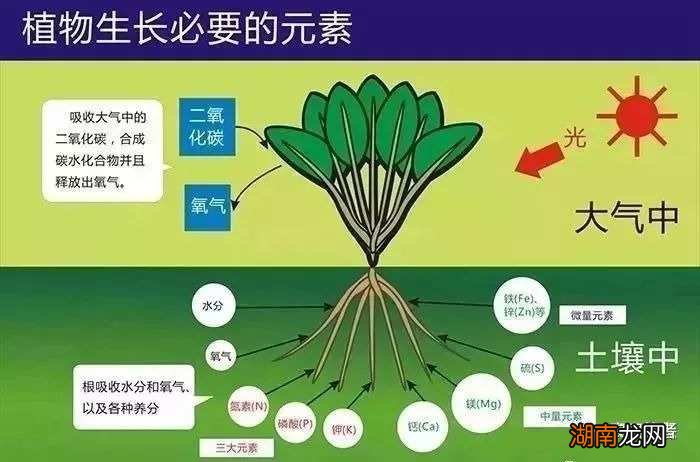 硝酸磷肥的含量及作用_硝酸磷肥_硝酸磷肥是什么肥料