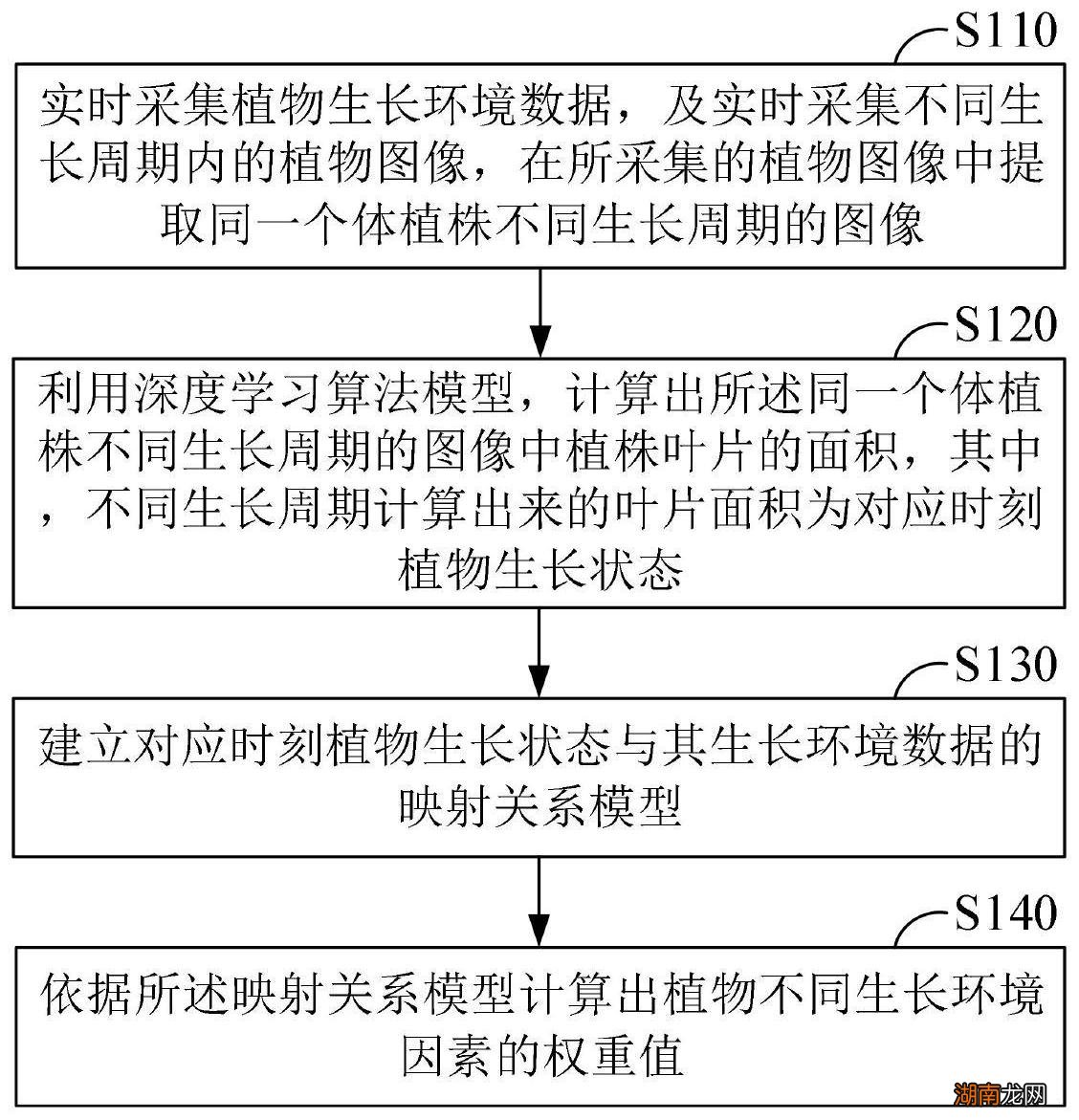 杉树的种类和图片资料_杉树种类_杉树有几种