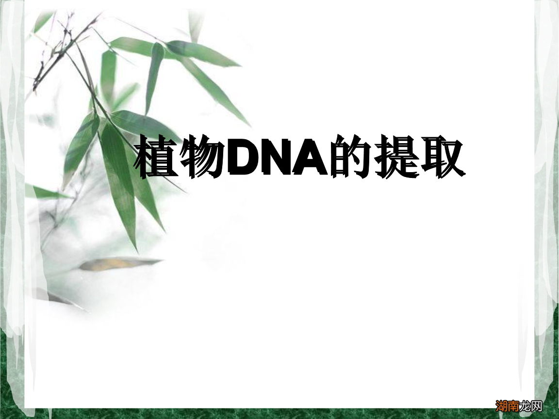 种子传播植物传播种子的方法_种子传播植物做知识卡片怎么做_植物传播种子