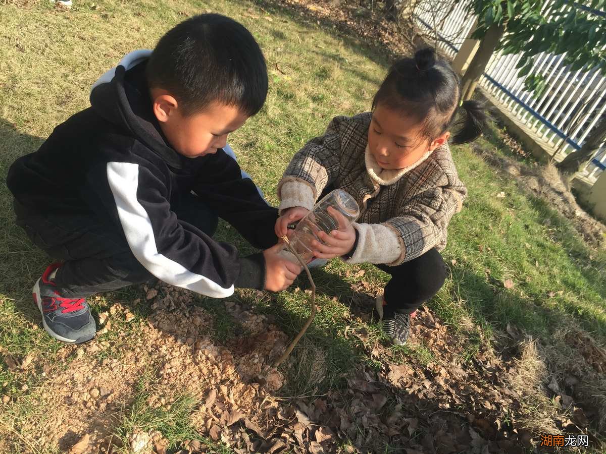 教师请幼儿讨论植树节的来历和好处！太有才了！