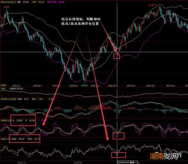 紫薇树10公分以上价格_要几根以上小阳线是蚂蚁上树_枫林意树可以上